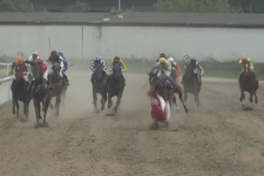 Snimak pada džokeja na beogradskom hipodromu (VIDEO)