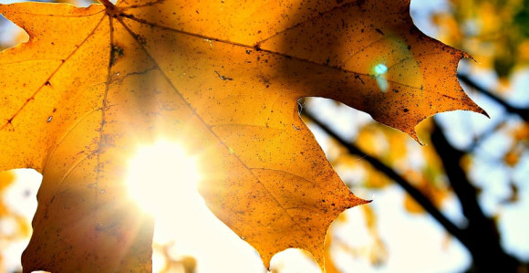 Ljeto u oktobru, temperatura do čak 28 stepeni