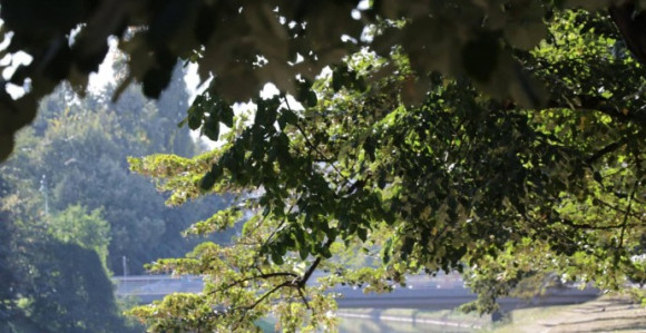 Danas pretežno sunčano i toplo, do 29 stepeni