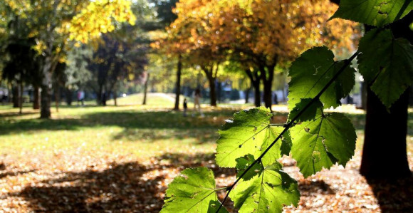 Danas sunčano i vrlo toplo za ovo doba godine