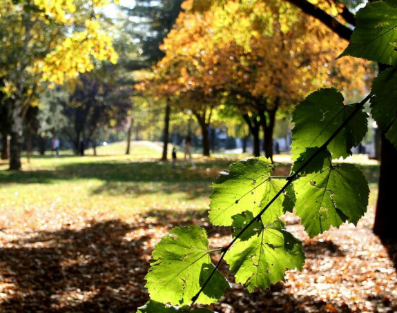 Danas sunčano i vrlo toplo za ovo doba godine