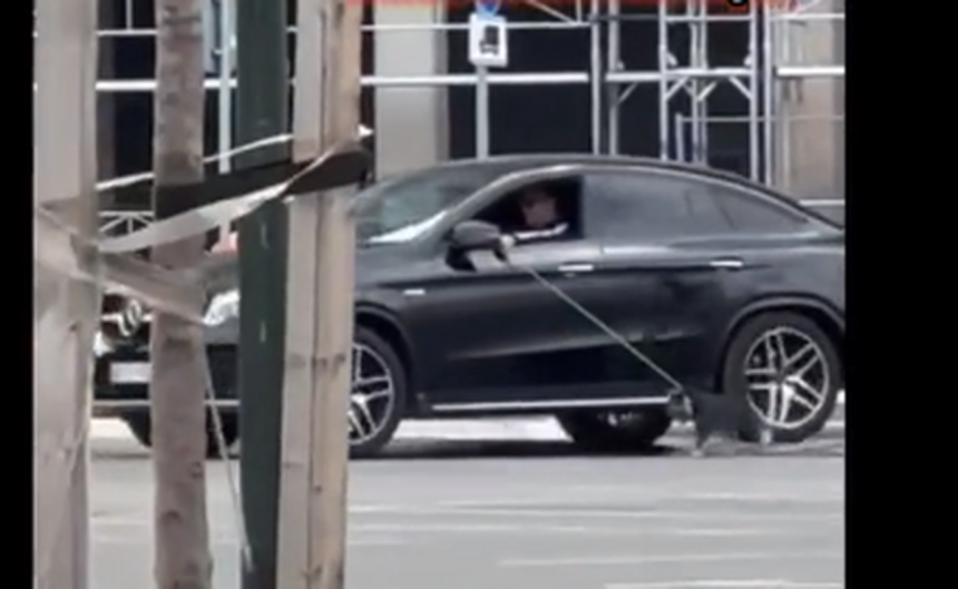 Sraman prizor: Vozi auto i vodi psa na povocu (Video)