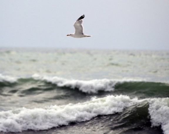 Slovenija: Izlilo se more, pokrenula se klizišta...