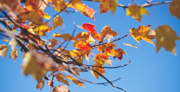 Danas sunčano i toplije vrijeme, uveče naoblačenje