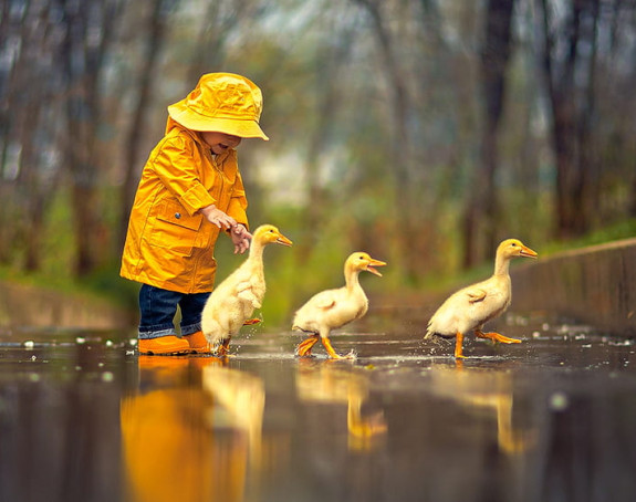 Danas oblačno sa kišom, slab snijeg na planinama