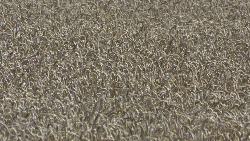 Tokom tri kvartala uvoz četiri puta veći od izvoza