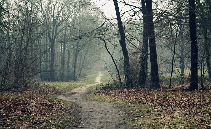 Danas pretežno oblačno i toplije, do 17 stepeni