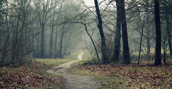 Danas pretežno oblačno i toplije, do 17 stepeni