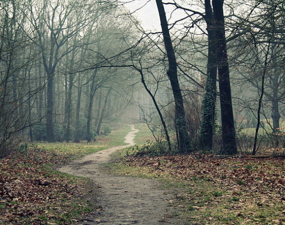Danas pretežno oblačno i toplije, do 17 stepeni
