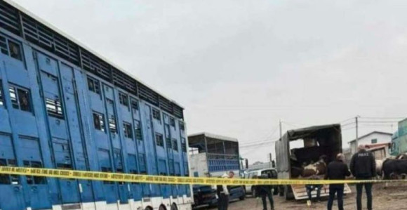 U eksploziji ručne bombe povrijeđeno devet osoba