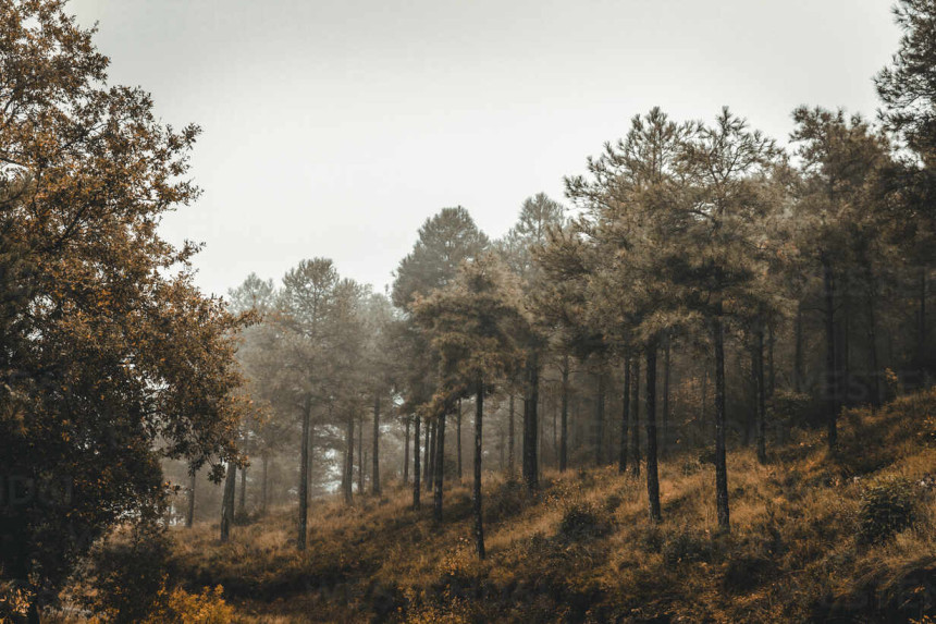 Pretežno oblačno i prohladno, uz sunčane periode