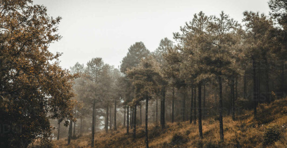 Pretežno oblačno i prohladno, uz sunčane periode