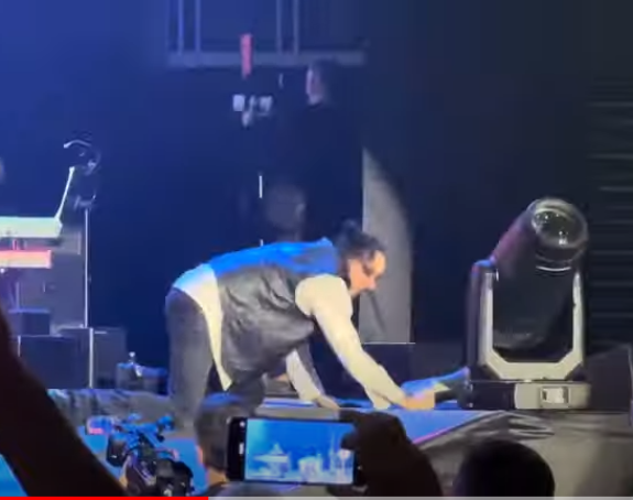 Željko Bebek se sapleo i pao na koncertu (VIDEO)