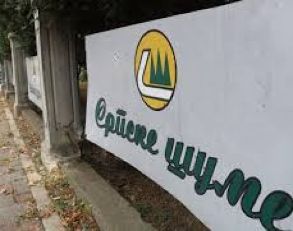 "Шуме РС" очекују да годину заврше позитивно