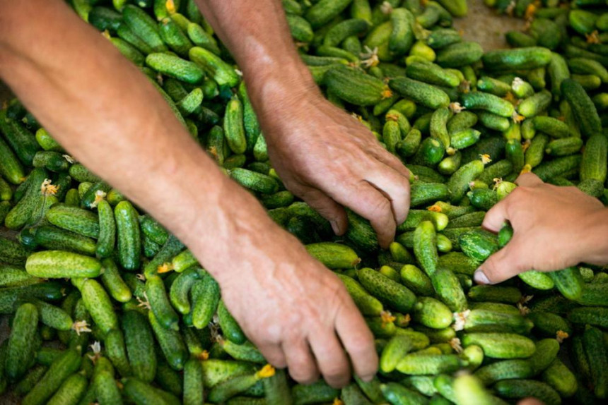 Zatvara se fabrika u Srpskoj, bez posla ostaje 30 ljudi