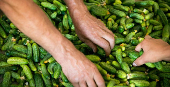 Zatvara se fabrika u Srpskoj, bez posla ostaje 30 ljudi