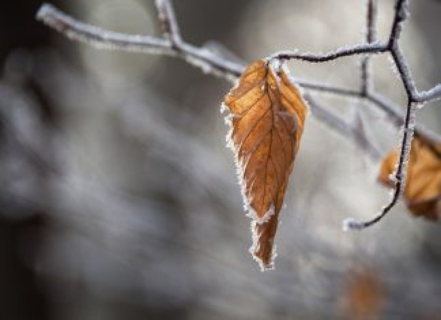 Nakon hladnog jutra, danas se očekuje sunčano