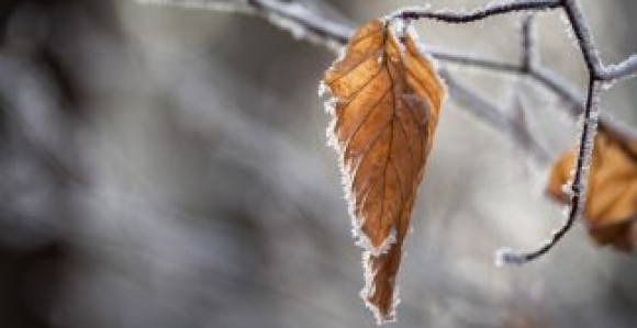 Nakon hladnog jutra, danas se očekuje sunčano