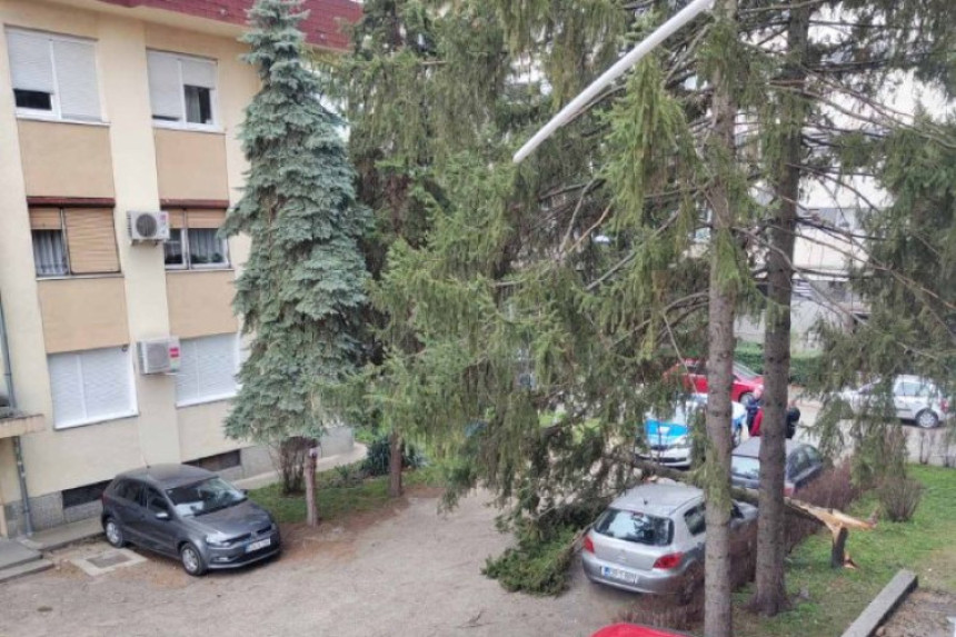 Вјетар у Бањалуци оборио дрво и откинуо семафор