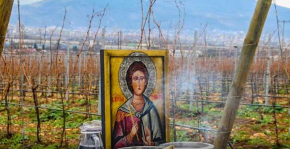 Danas Sveti Trifun - zaštitnik ljubavi i vinogradara