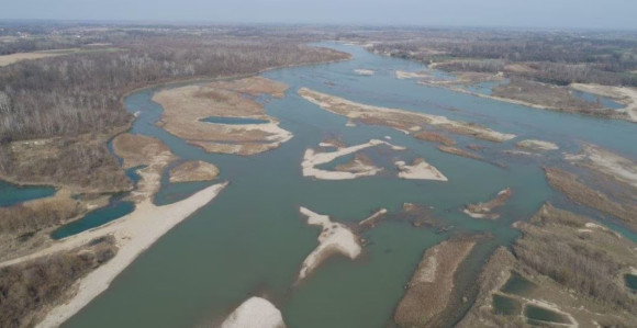 Od Drine ostala samo šikara
