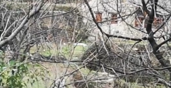 Iz rijeke izvučeno tijelo i drugog mladića iz Stoca