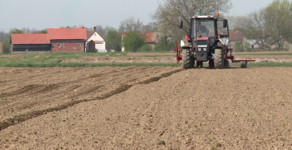 Ko će nas hraniti: Poljoprivrednici na rubu očaja