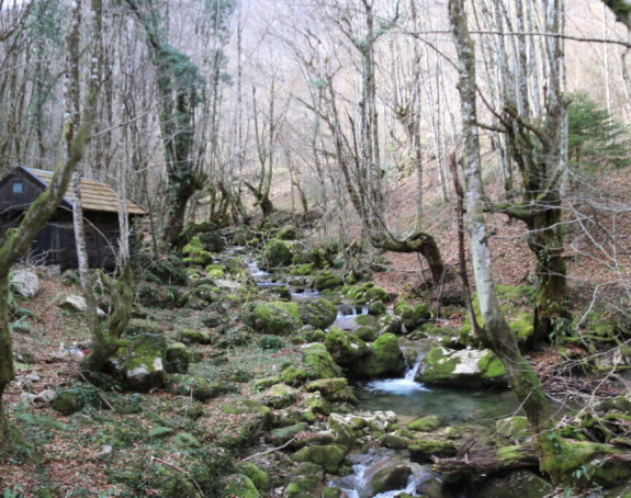 Mještani protiv hidrocentrale na rijeci Duboka