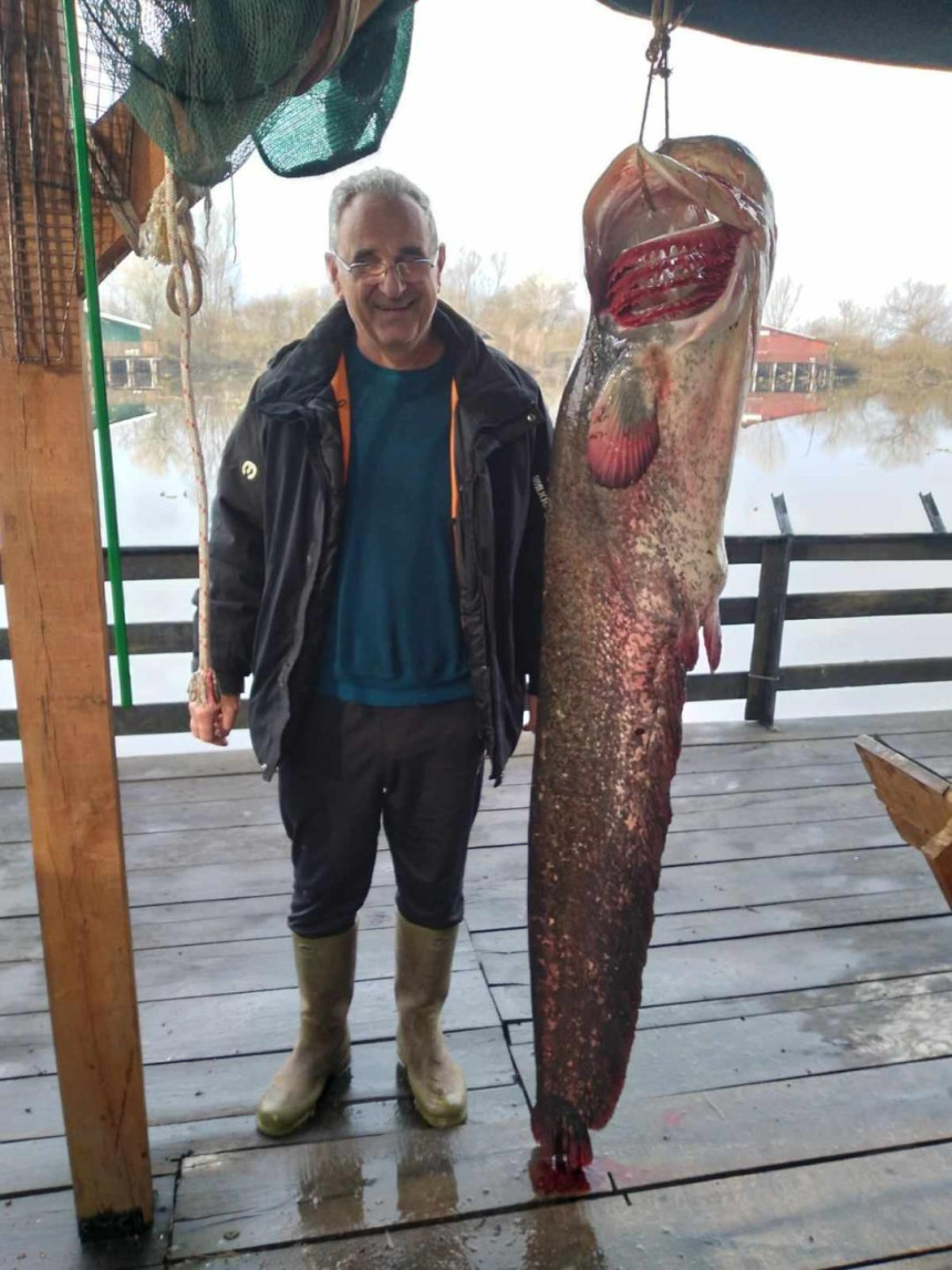 Upecao soma teškog 39 kilograma na Bardači kod Srpca