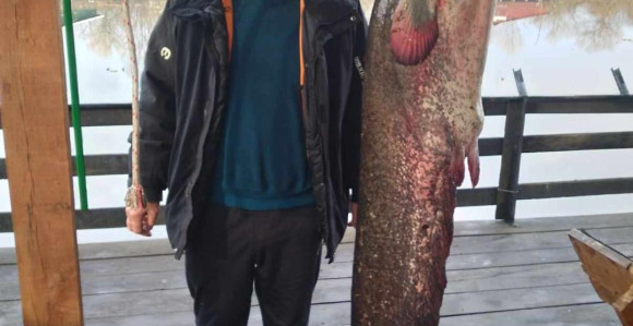 Upecao soma teškog 39 kilograma na Bardači kod Srpca