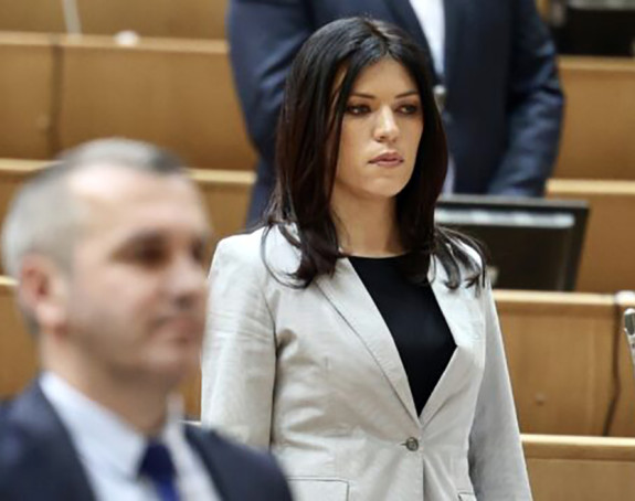 Vulić: U BiH vladaju sila, nametanje i progon