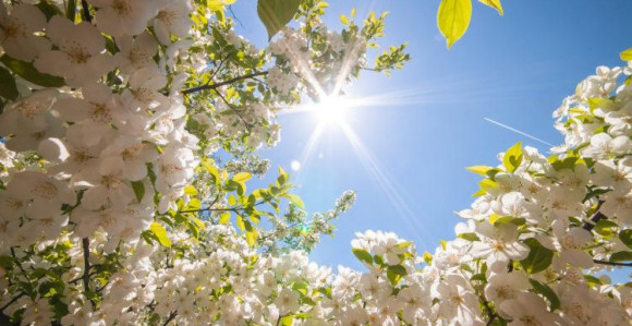 Danas sunčano, temperatura i do 31 stepen