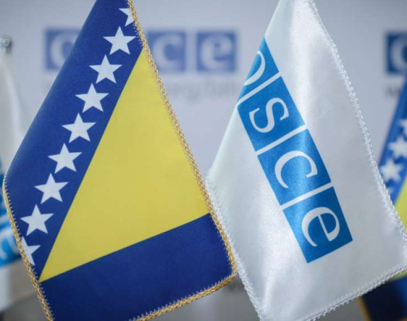 OEBS: Niko osim CIK-a BiH ne može voditi izbore