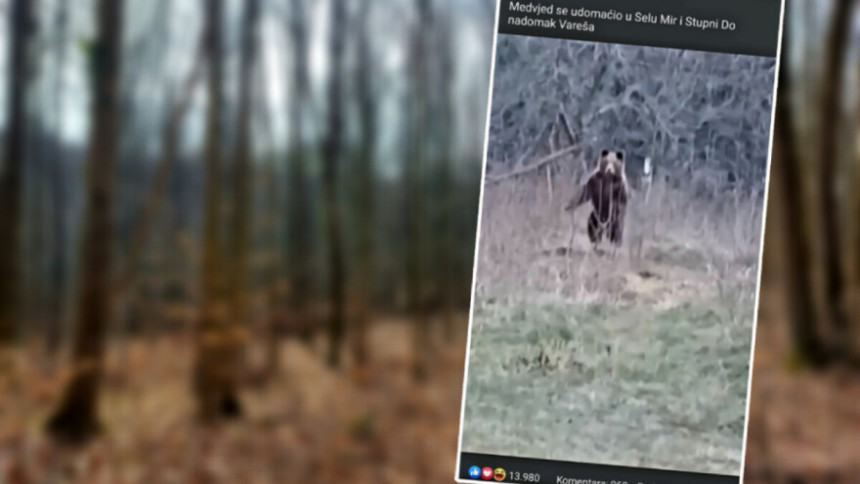 "Ajde da ruča moj medo, ne boj se!" (VIDEO)