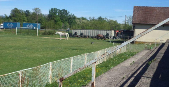 Srbac; Fudbalski teren pretvoren u pašnjak