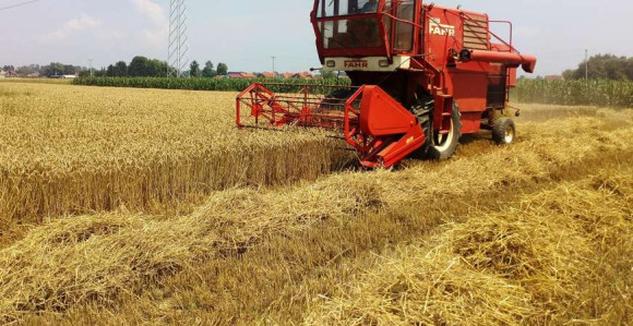 БиХ не производи довољно хране за своје становништво