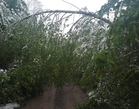 Pao snijeg u aprilu, sela u Novom Gradu bez struje
