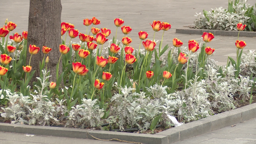 Danas pretežno sunčano i još toplije vrijeme