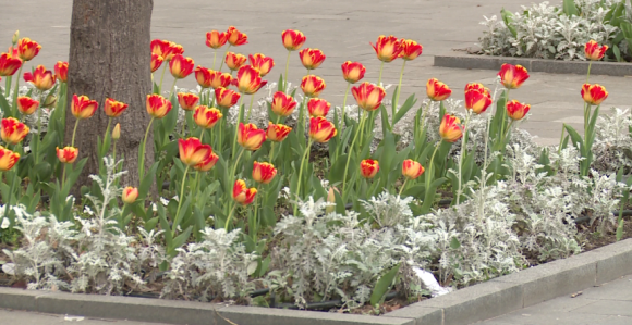 Danas pretežno sunčano i još toplije vrijeme