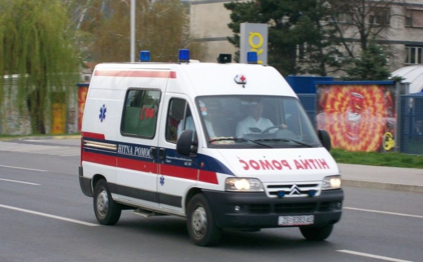 Далмација: Жену угризао поскок док је чупала лук