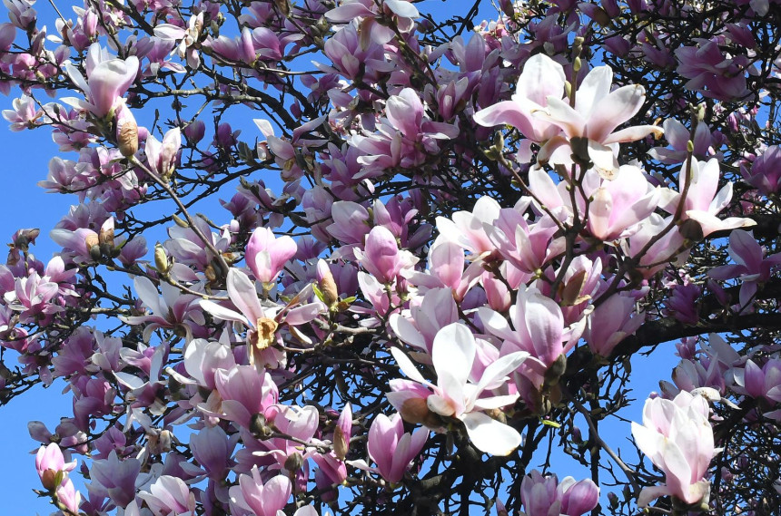 Kakvo se vrijeme očekuje za Vaskrs i Đurđevdan?