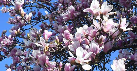 Kakvo se vrijeme očekuje za Vaskrs i Đurđevdan?