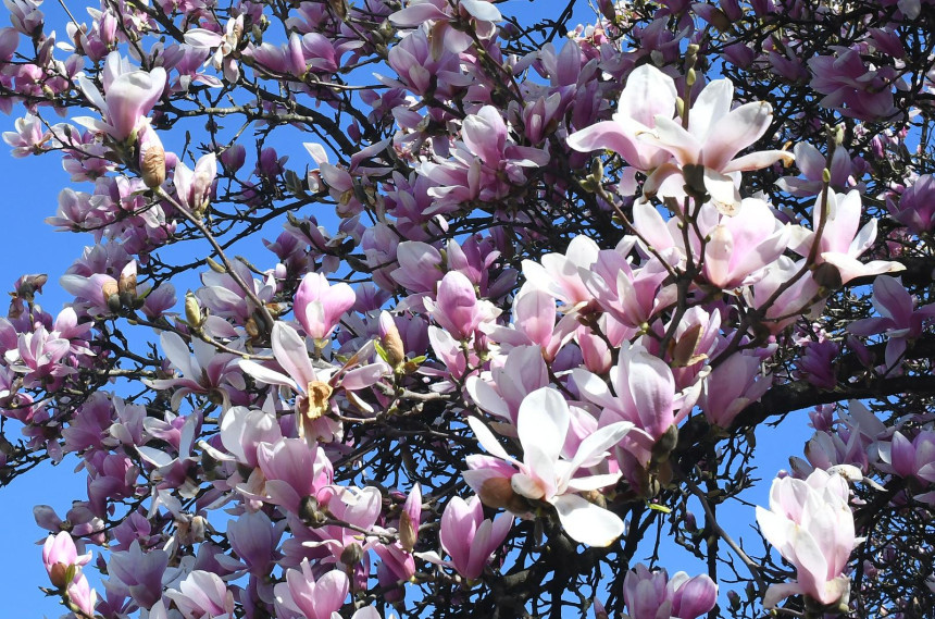Sunčano vrijeme, temperatura do 27 stepeni Celzijusovih