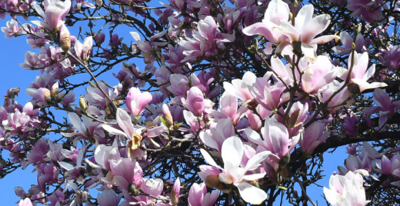 Sunčano vrijeme, temperatura do 27 stepeni Celzijusovih