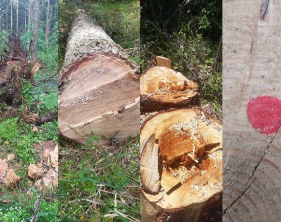 Pogledajte razmjere kriminala u ŠG "Romanija"