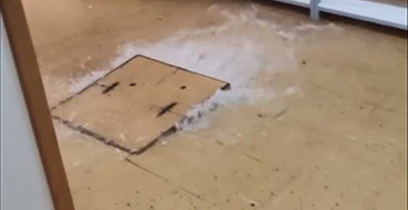 Apel iz Narodne i univerzitetske biblioteke Srpske