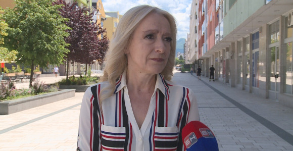 SDS čeka odluku Suda BiH i CIK-a: Odluka mora biti u našu korist