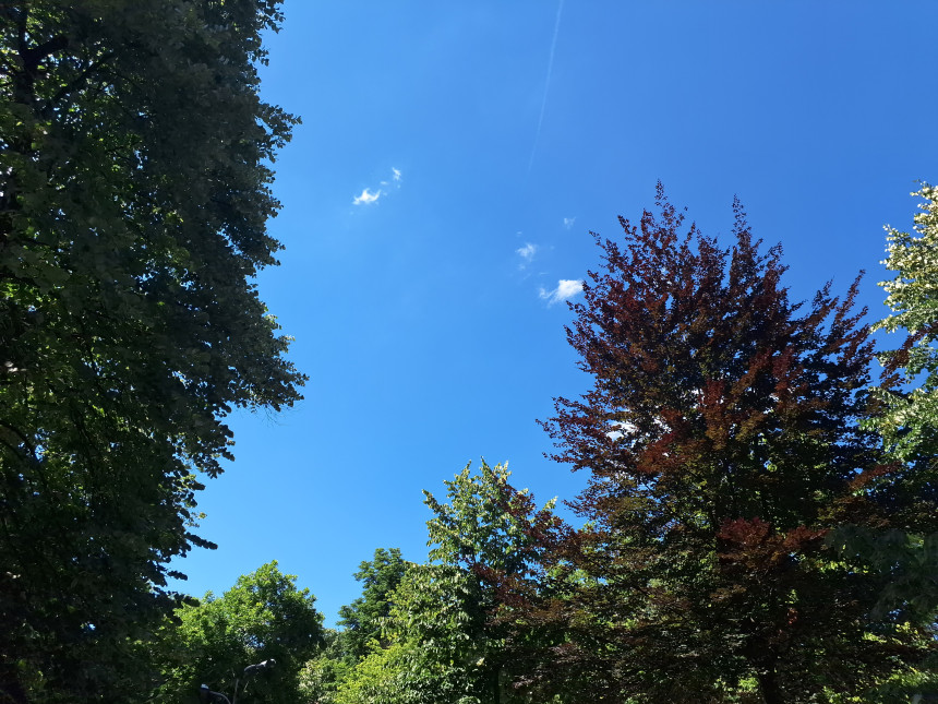Danas sunčano i vruće, temperatura do 33 stepena