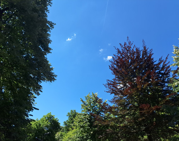 Danas sunčano i vruće, temperatura do 33 stepena
