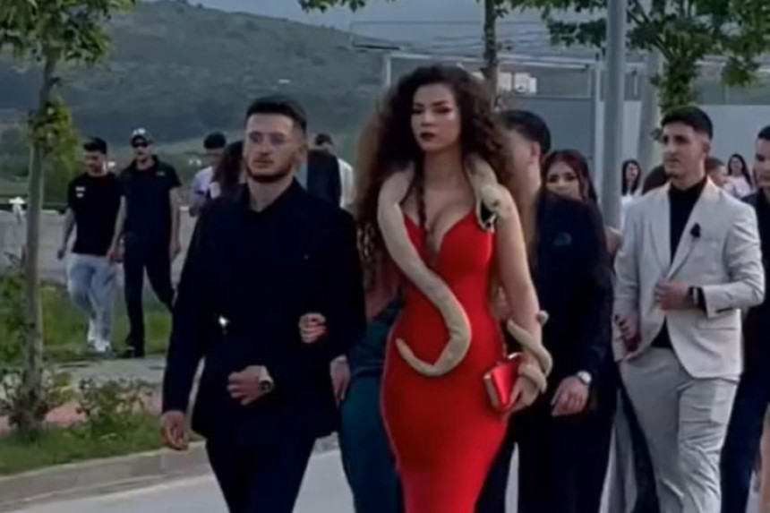 Djevojka na proslavu mature stigla sa zmijom oko vrata (FOTO/VIDEO)